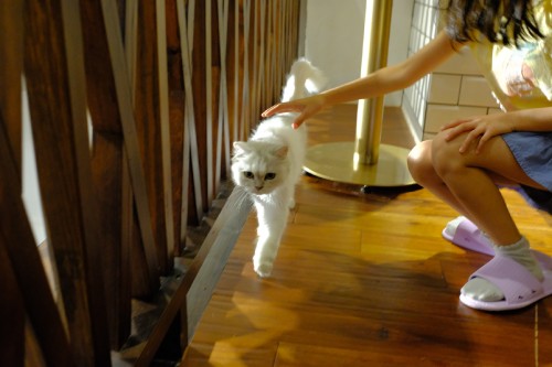 11F7D0D2 C0AE 4B56 9D73 B436A8F6A0C1