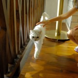 11F7D0D2-C0AE-4B56-9D73-B436A8F6A0C1