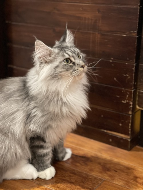 31FAB176 1ECB 4B82 8804 24277F55EC86