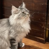 31FAB176-1ECB-4B82-8804-24277F55EC86