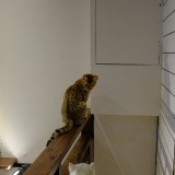 43A016AD-DC39-4F6C-99A2-128808C3B000