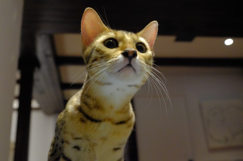 4A799E0A 05F3 46A7 AC0B DAFB4C58DB30