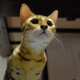 4A799E0A-05F3-46A7-AC0B-DAFB4C58DB30