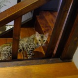 5C6F41B7-3784-451F-BDFA-CDB127B97BA6