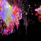 656205F3-6074-4AA5-A1C4-D9467E58EA26