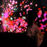 67BD0866-8348-426E-82B7-2827633A431C