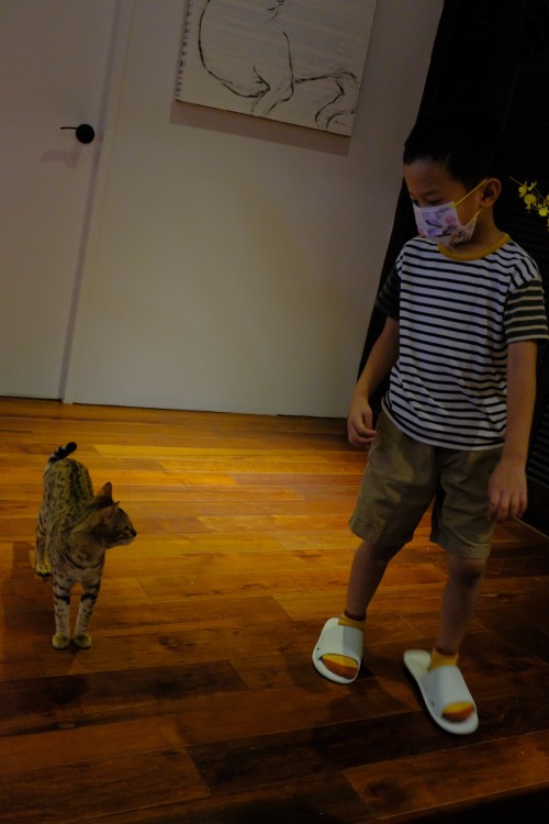 6E8318D5 8AC7 4D15 A657 08806AD00908