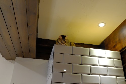 7F7EC11C DD80 4782 9C82 DF71AED1EAE4