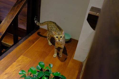 910F5571 8E50 49E8 9B56 D27122FB3D29