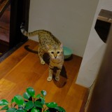 910F5571-8E50-49E8-9B56-D27122FB3D29