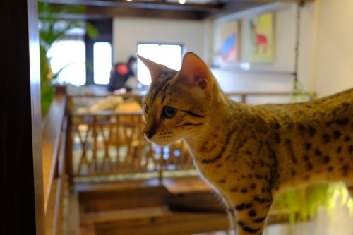 91BF1F0D 7E4E 497D B9EF CF123E019C29