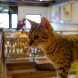 91BF1F0D-7E4E-497D-B9EF-CF123E019C29