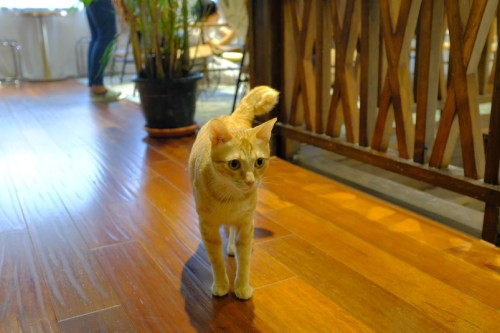 A1323329 108F 41FE 8657 A2BEB2A02896