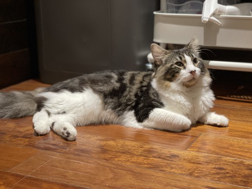 A5646330 200C 49E9 8EC7 A931ED65B634