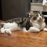 A5646330-200C-49E9-8EC7-A931ED65B634