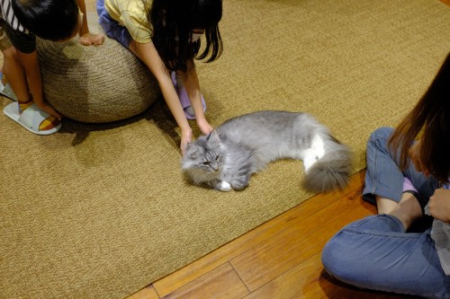 B7D7E93D 3AD0 495C BF20 D780E3C61734