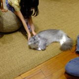 B7D7E93D-3AD0-495C-BF20-D780E3C61734