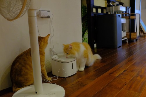 BFFD7835 7BF4 4B95 93CF 397523BD4BC1