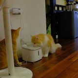 BFFD7835-7BF4-4B95-93CF-397523BD4BC1