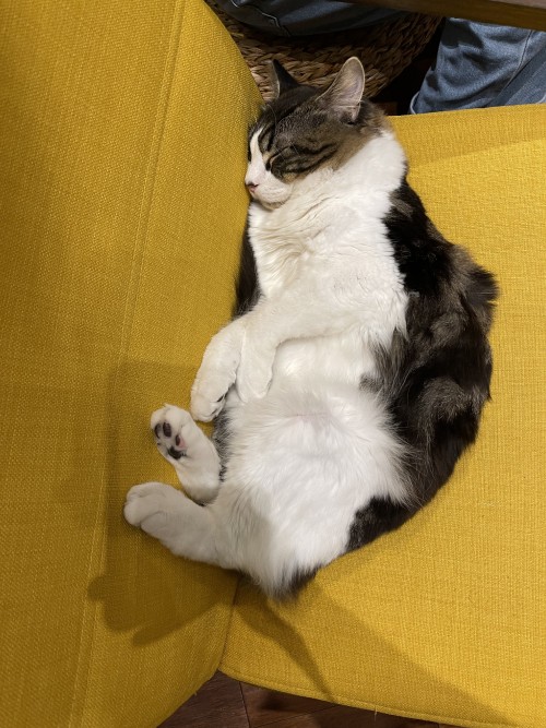 CD8EBAE7 621A 4BB3 8B07 96D6E0862C9F