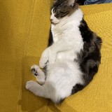 CD8EBAE7-621A-4BB3-8B07-96D6E0862C9F