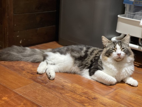 D0A1E3F5 6A86 4789 8F2C 9F41409627A5