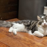 D0A1E3F5-6A86-4789-8F2C-9F41409627A5