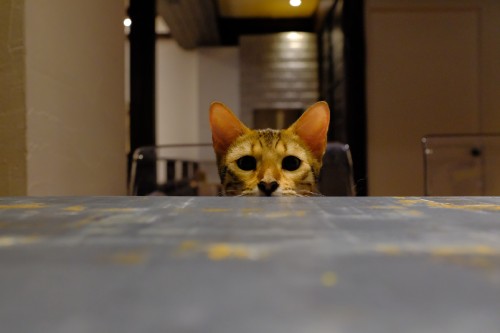 D53F457C D22B 44D8 940E 7C52068BE39D