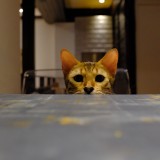 D53F457C-D22B-44D8-940E-7C52068BE39D