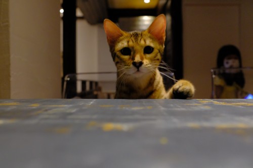 D9AA0F73 7CC1 4BE7 8BA2 2B3CC7D5587B