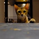 D9AA0F73-7CC1-4BE7-8BA2-2B3CC7D5587B