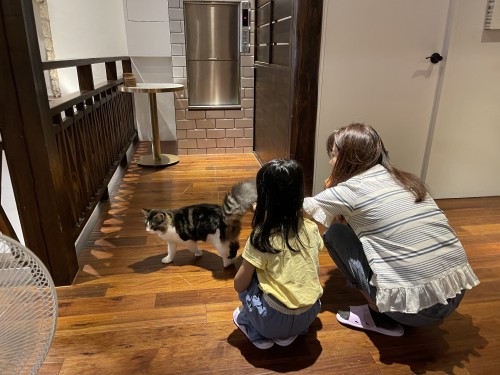 DA063D87 5677 4D89 BBBF 3F7EFB0977EC