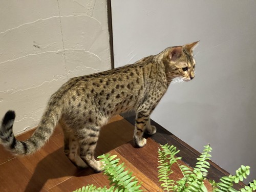 E206F84C 6827 4BBA 816F EBADAF1CA159