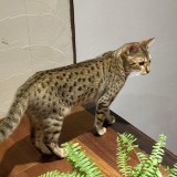 E206F84C-6827-4BBA-816F-EBADAF1CA159