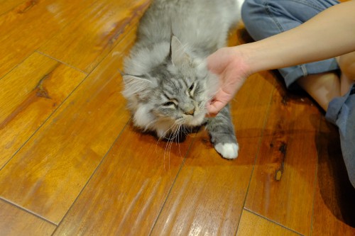 F2E44DF1 13CF 423E 8CC2 82EEF134D2D1