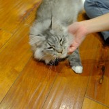 F2E44DF1-13CF-423E-8CC2-82EEF134D2D1