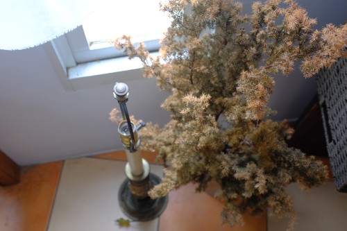 2D52A35A CAA3 4523 BDE4 0C03A72E8B09