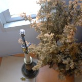 2D52A35A-CAA3-4523-BDE4-0C03A72E8B09