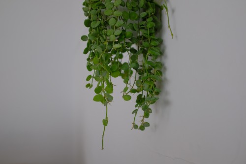 AE78EC5F 8356 4A84 87B7 1D7E71BC886C