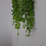 AE78EC5F-8356-4A84-87B7-1D7E71BC886C