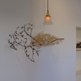 C61F87FC-69AC-4EB7-8D3D-73CDF3FAF39E