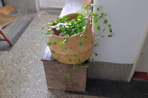 E75ACED8 B31D 4B82 A322 F7FB3B3A7715