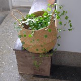 E75ACED8-B31D-4B82-A322-F7FB3B3A7715