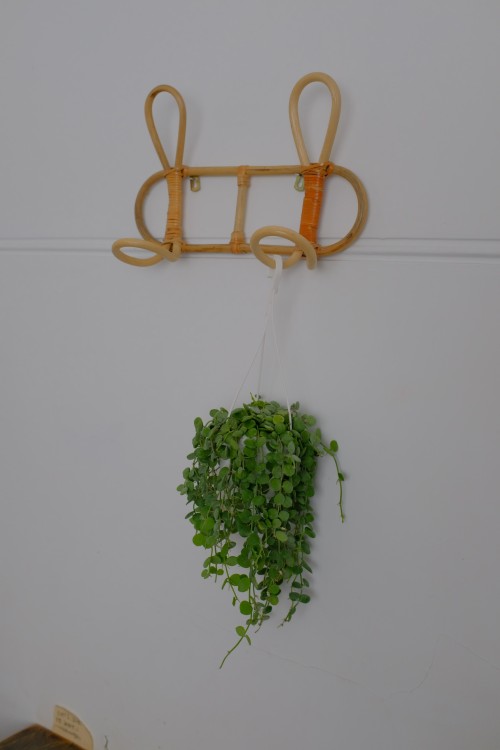 E82EE532 9ADD 45B9 B7D9 A922A5F755C9