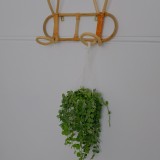 E82EE532-9ADD-45B9-B7D9-A922A5F755C9