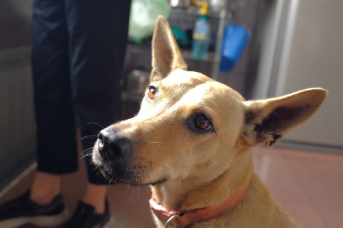 13F09B87 7922 416B 80E6 32078010051B