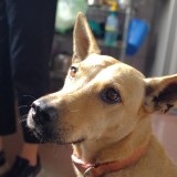 13F09B87-7922-416B-80E6-32078010051B