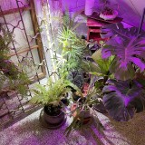 2F391B6A-1904-4B12-AF0B-A9298F940B65