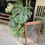 3CF899AE-F75E-4E47-A569-FB9312390946