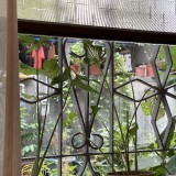 6DCACE62-48FF-431E-8FFA-7FD8CAA3D491